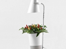 Wi-Fi 智能植物生長機 無土室內種植神器 卉U